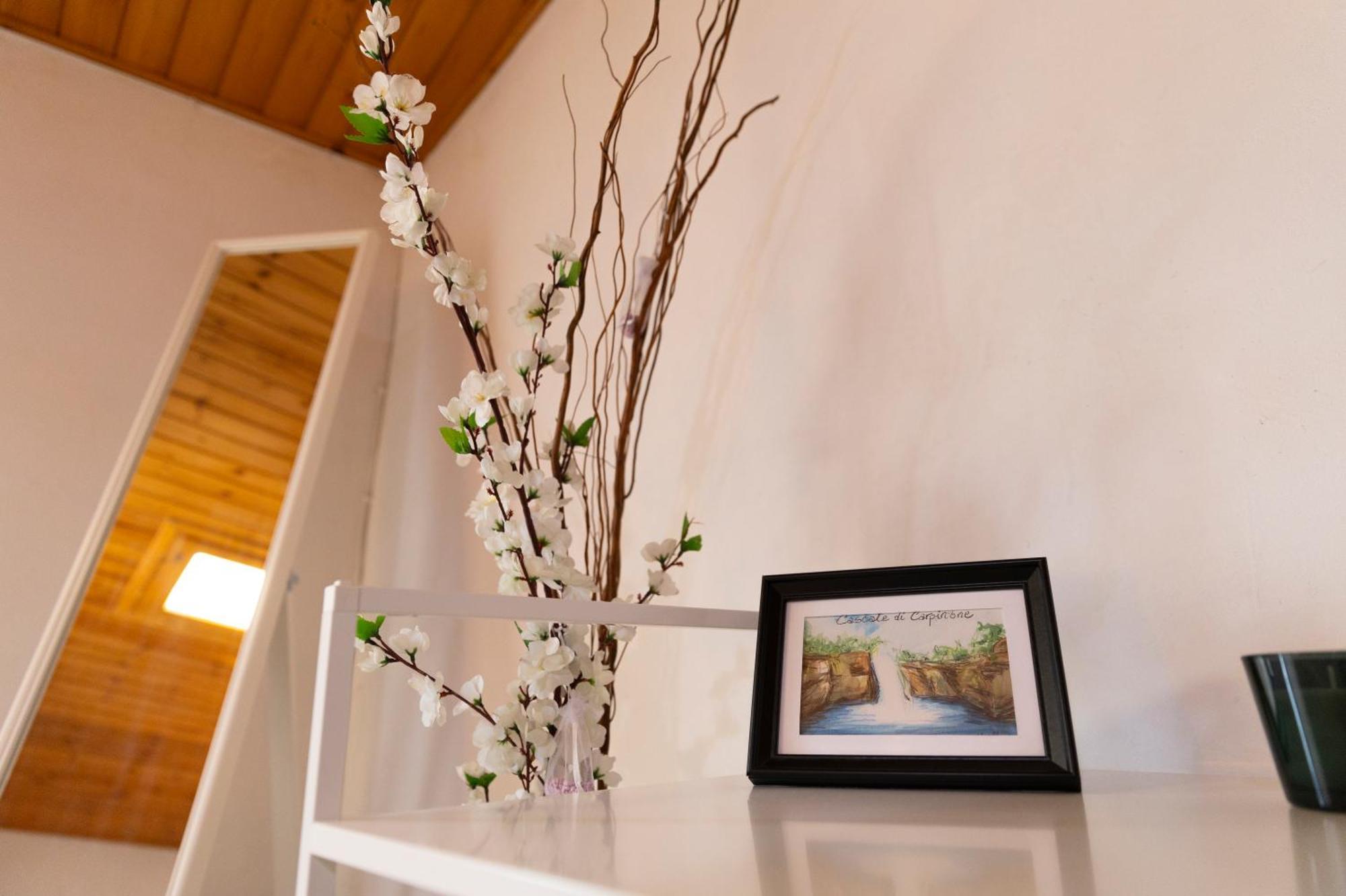 Casa Schioppo - Molise Fells Like Apartment *